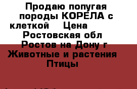 Продаю попугая породы КОРЕЛА с клеткой  › Цена ­ 2 000 - Ростовская обл., Ростов-на-Дону г. Животные и растения » Птицы   